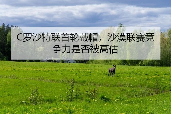 C罗沙特联首轮戴帽，沙漠联赛竞争力是否被高估