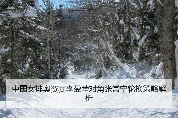 中国女排奥资赛李盈莹对角张常宁轮换策略解析